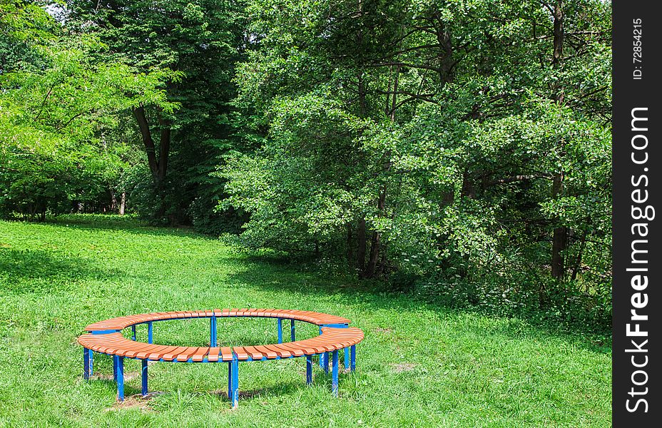 Two benches in the park on sunny summer day