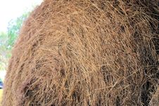 Hay Royalty Free Stock Photos Hay Royalty Free Stock Photos