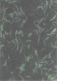 Green Grey Paper, Natural, Texture, Abstract, Stock Image