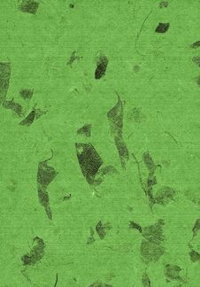 Green Leafs Paper, Natural, Texture, Abstract, Stock Photo Green Leafs Paper, Natural, Texture, Abstract, Stock Photo