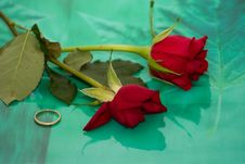 Love Complexities Royalty Free Stock Images