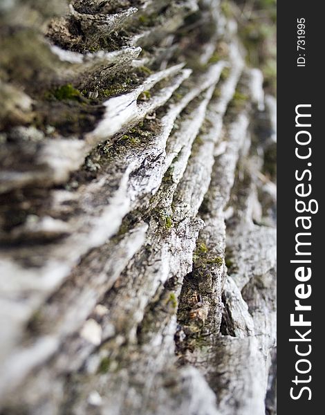 Deeply weathered and worn surface of ancient tree. Deeply weathered and worn surface of ancient tree.