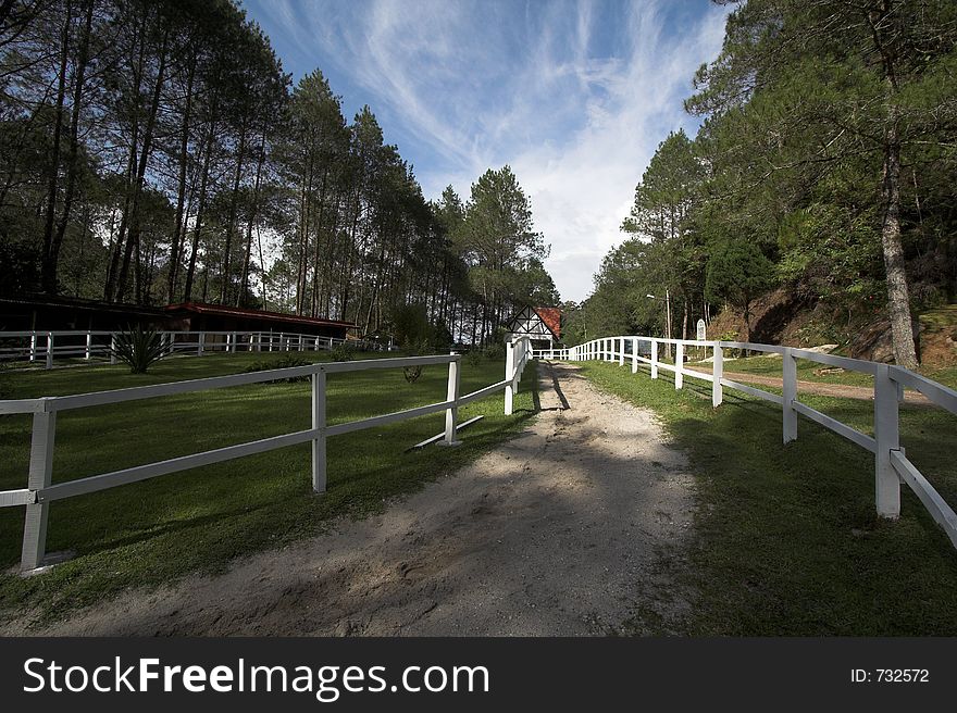 Wide-angle view of an afternoon at the paddock