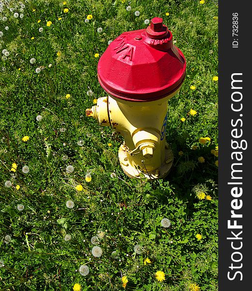 A fire hydrant in strong sunlight with deep shadows, surrounded by an endless sea of grass and dandelions. A fire hydrant in strong sunlight with deep shadows, surrounded by an endless sea of grass and dandelions.
