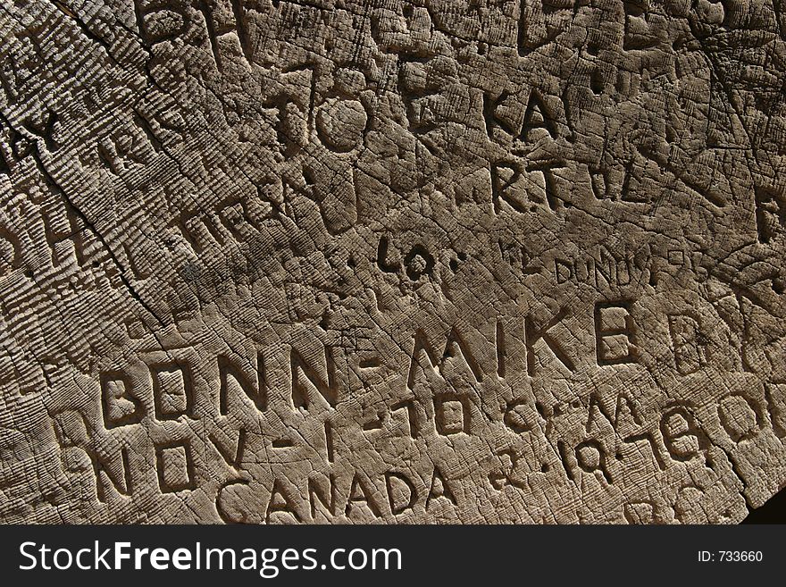 A cut-down tree has been heavily carved with peoples initials. A cut-down tree has been heavily carved with peoples initials.