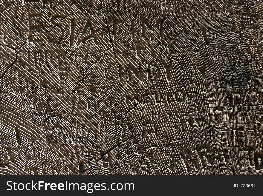 A cut-down tree has been heavily carved with peoples initials. A cut-down tree has been heavily carved with peoples initials.