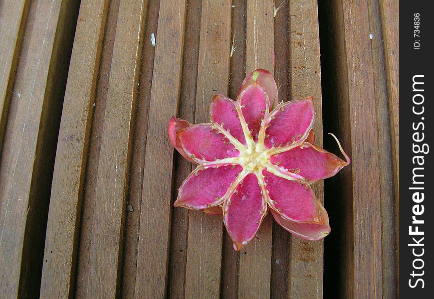 Fruit Flower On Wood