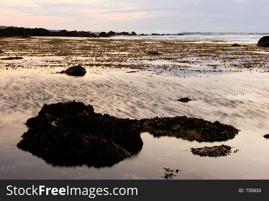 Time exposure of an ocean pool with a kelp bed in the evening. Time exposure of an ocean pool with a kelp bed in the evening