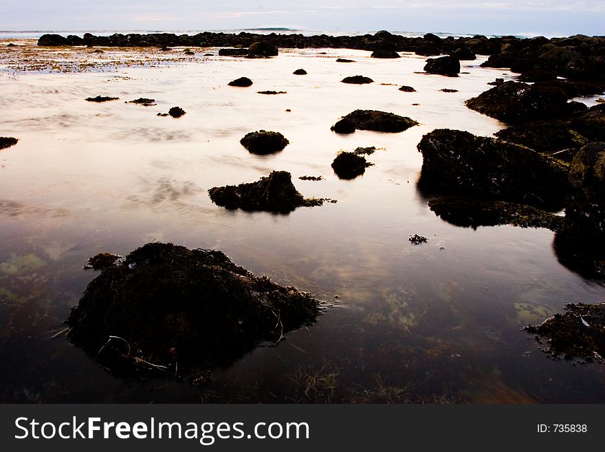 Pool With Rocks