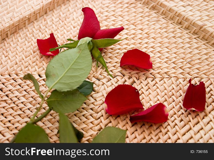 Wilting red rose and scattered petals lie on a natural colored woven tray. Wilting red rose and scattered petals lie on a natural colored woven tray
