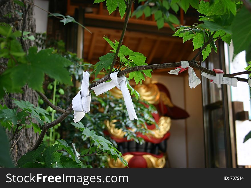 Wishes tree in tokyo