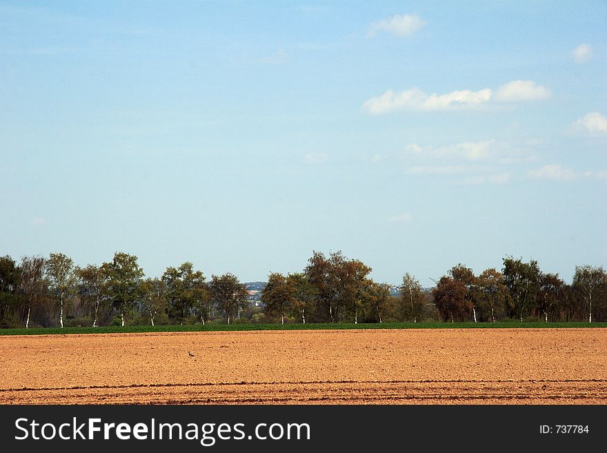 Farmland with forest at the horizont and blue sky. Farmland with forest at the horizont and blue sky