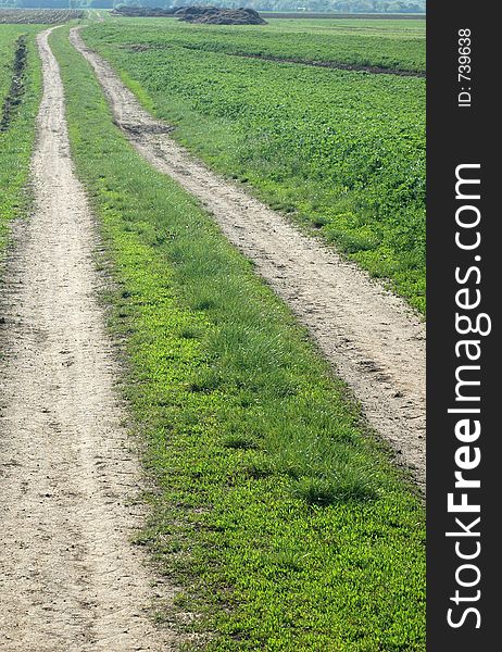 Road between fileds. Road between fileds