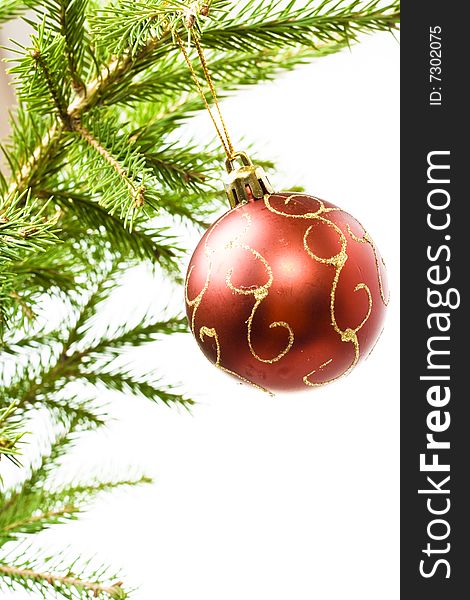 Photo of christmas tree ball on white. Photo of christmas tree ball on white