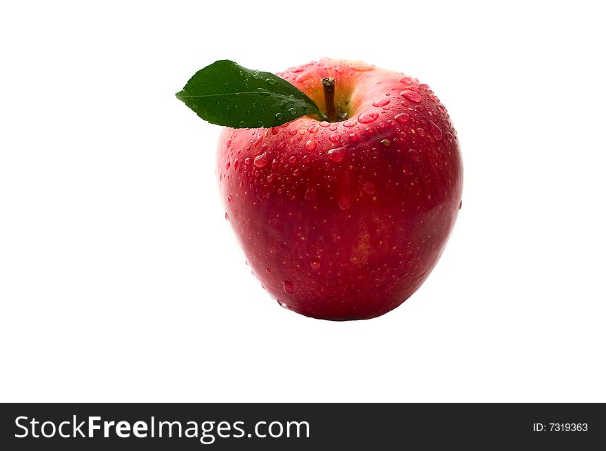 Red apple with warter drop on white background. Studio lighting. Without shodow.