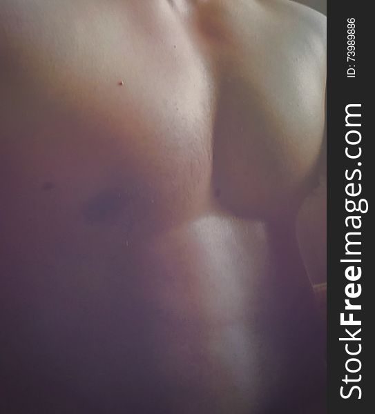 Picture with perfect pectoral and muscular body men in a low artistic light to accentuate body lines.