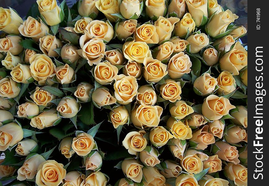 A bouquet of yellow roses in a flower market in the Netherlands.