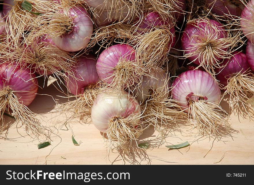Onion at market.