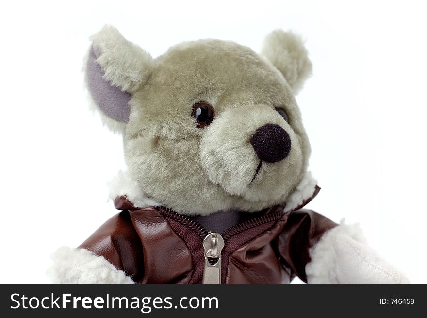 Cute toy gray teddy bear in brown jacket isolated on white. Cute toy gray teddy bear in brown jacket isolated on white