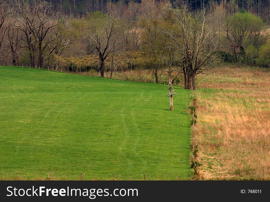 Early Spring in Cades Cove. Great Smoky Mountains. Early Spring in Cades Cove. Great Smoky Mountains