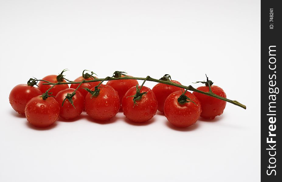 Branch of cherry tomatoes against of white background