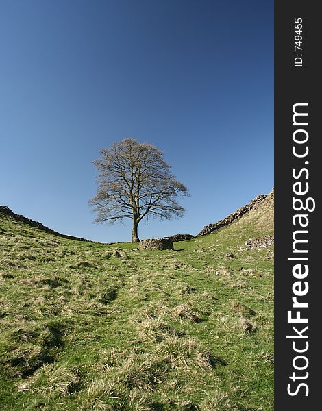 Hadrian wall, northumberland, england