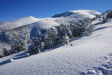 Winter Mountains. Borovets, Bulgaria Royalty Free Stock Image Winter Mountains. Borovets, Bulgaria Royalty Free Stock Image