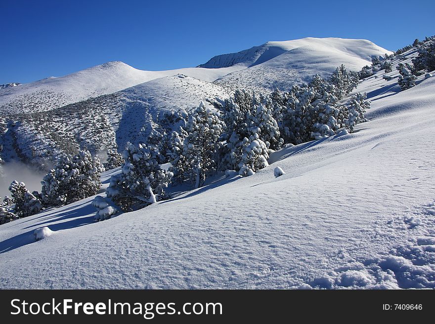 Winter mountain landscape with shining snow. Winter mountain landscape with shining snow
