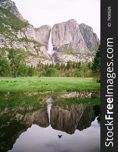 Yosemite Falls in the early spring. Yosemite Falls in the early spring