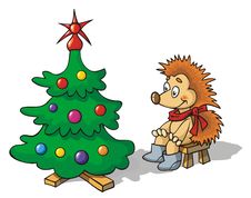 Hedgehog And A Fir-tree Royalty Free Stock Photo