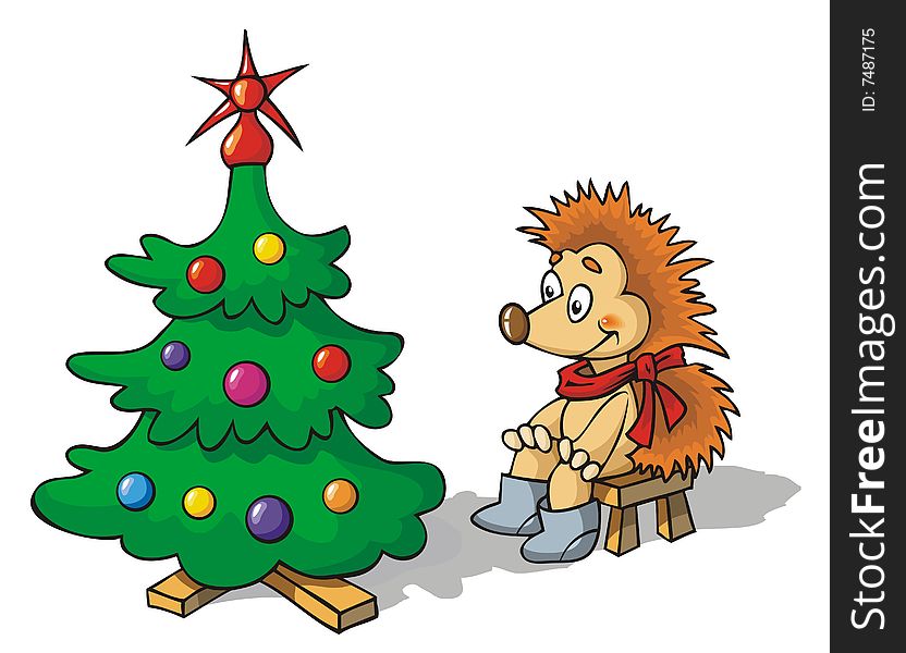 Hedgehog and a fir-tree