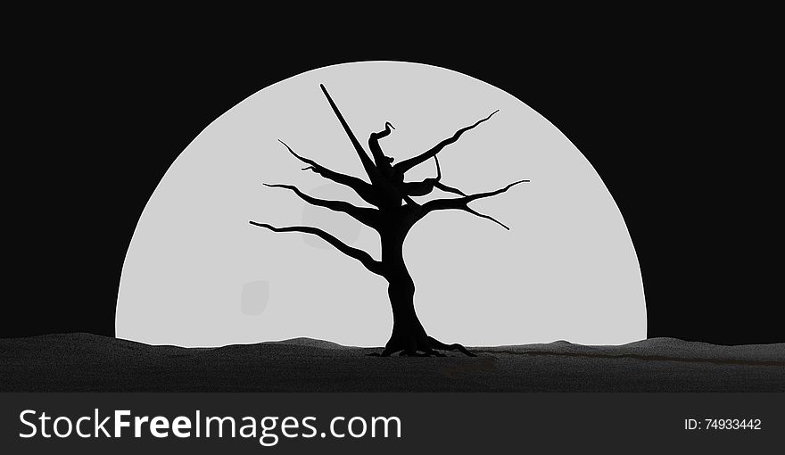 Spooky Halloween Moonlit tree outline.