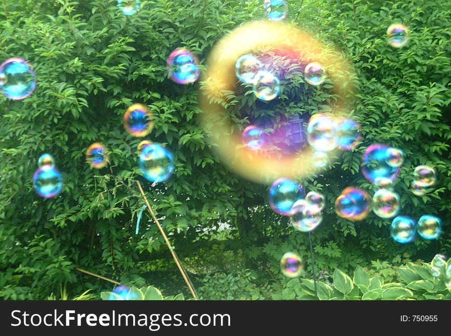 Soap Bubbles In The Garden