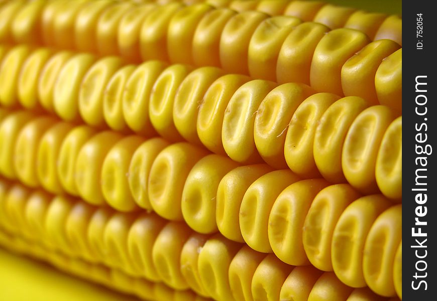 Golder corn close up on yellow background. Golder corn close up on yellow background