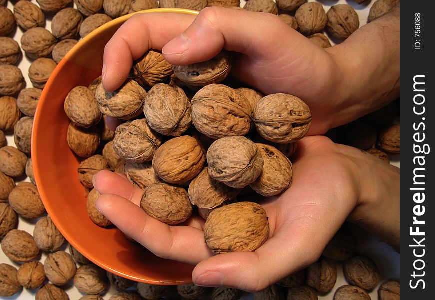 It Is A Lot Of Walnuts In Hands And Around