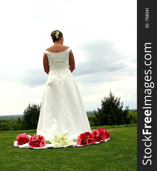 A bride on a hilltop pondering the future. A bride on a hilltop pondering the future.