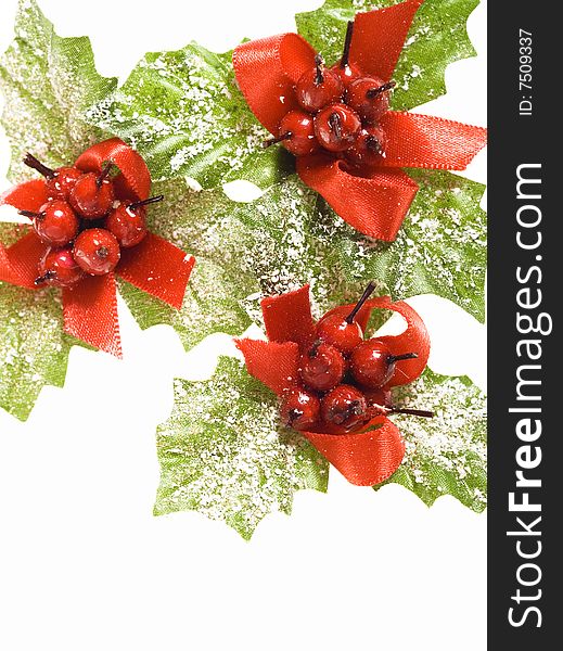 Christmas decoration  (european holly isolated on white)