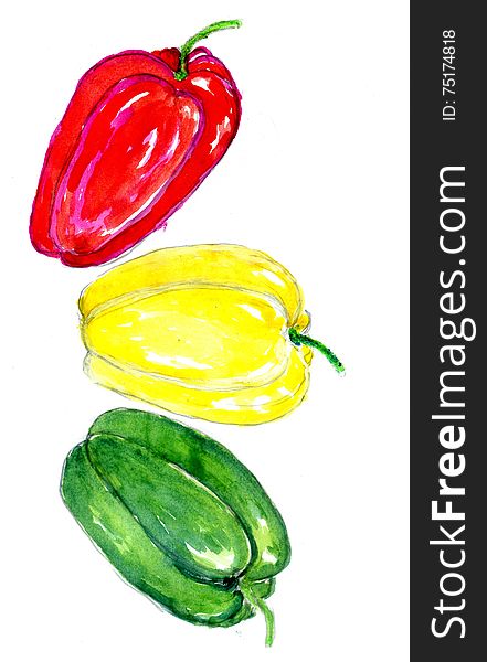 Set of three watercolor peppers on white background. Set of three watercolor peppers on white background.