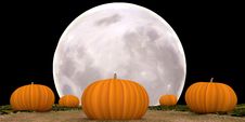 Halloween Moonlit Pumpkins Royalty Free Stock Photo Halloween Moonlit Pumpkins Royalty Free Stock Photo