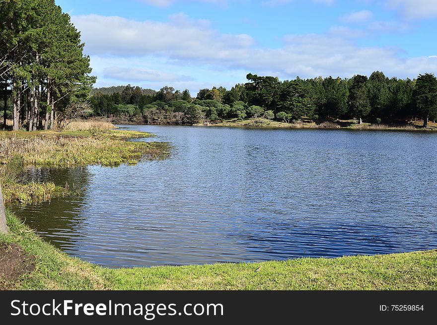 Landscape in a lake in a sunny day. Landscape in a lake in a sunny day