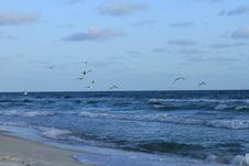 Florida Beach Waves Stock Image