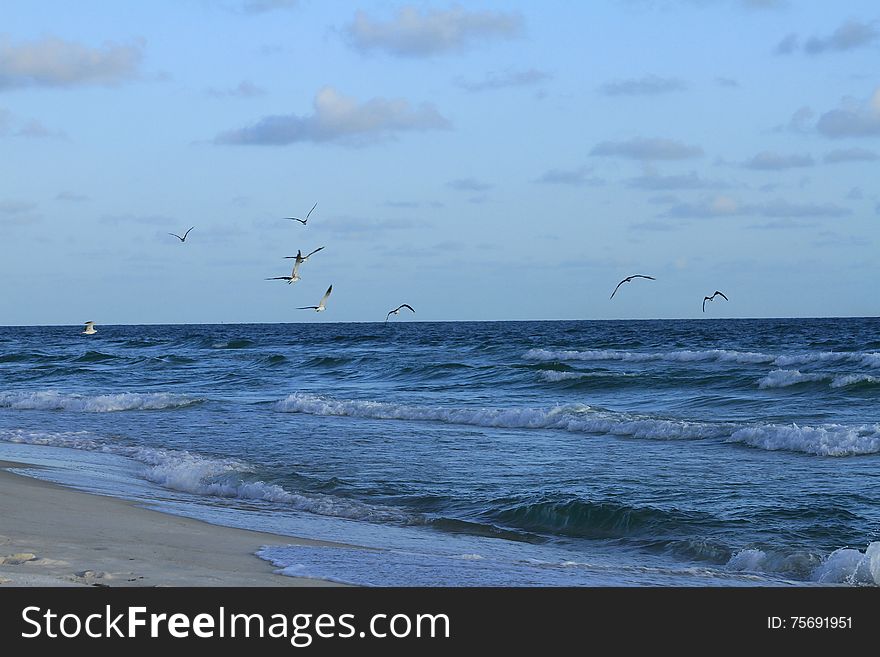 Florida Beach Waves