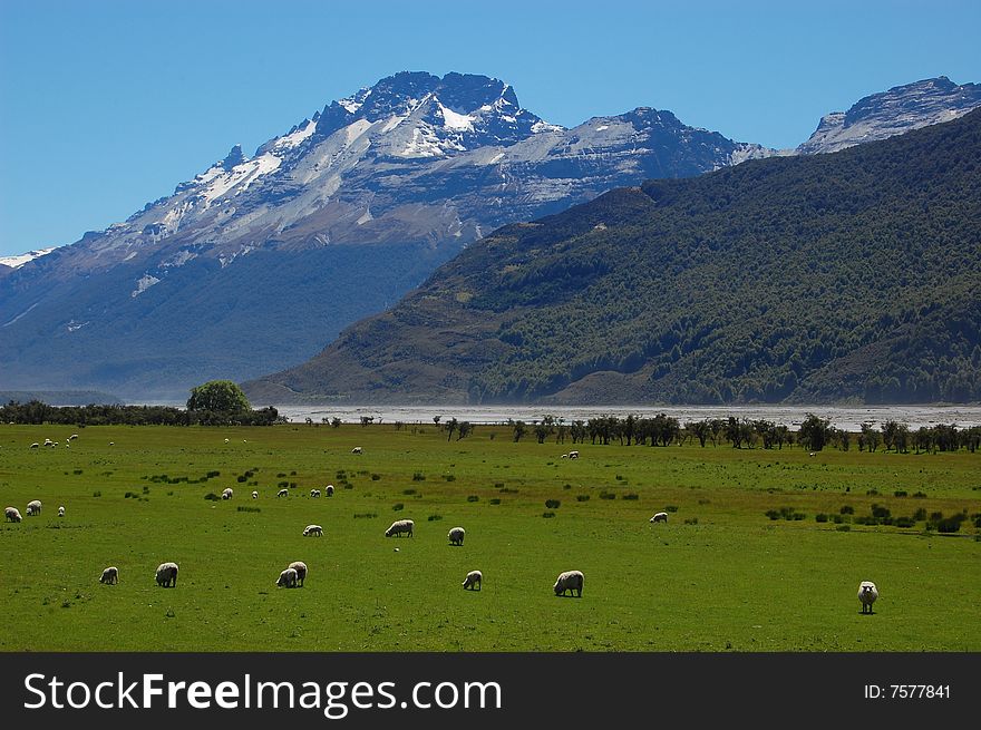 Snow mountain and Grassland