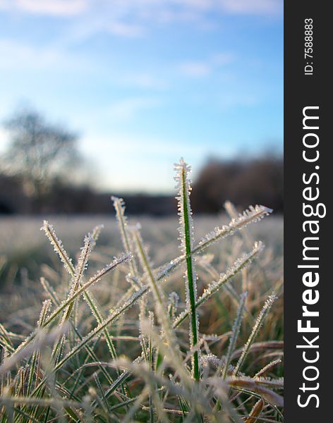 Photo of frosted grass with blue sky and little pink clouds in the distance. Photo of frosted grass with blue sky and little pink clouds in the distance.