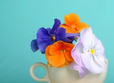 Pansy Bouquet Royalty Free Stock Images Pansy Bouquet Royalty Free Stock Images