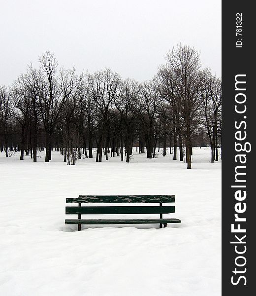 Park Bench in Winter