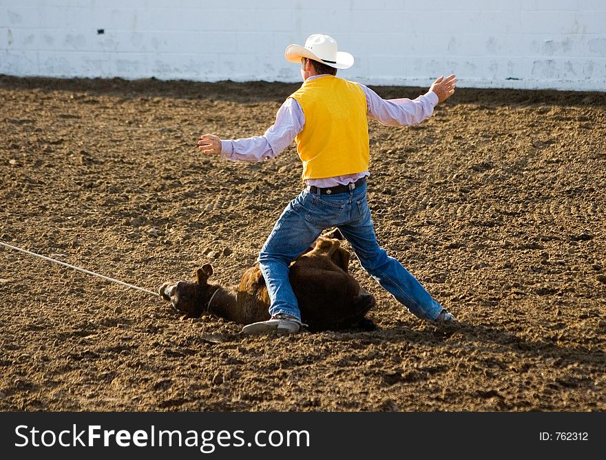 Steer Roping and tying at the local rodeo