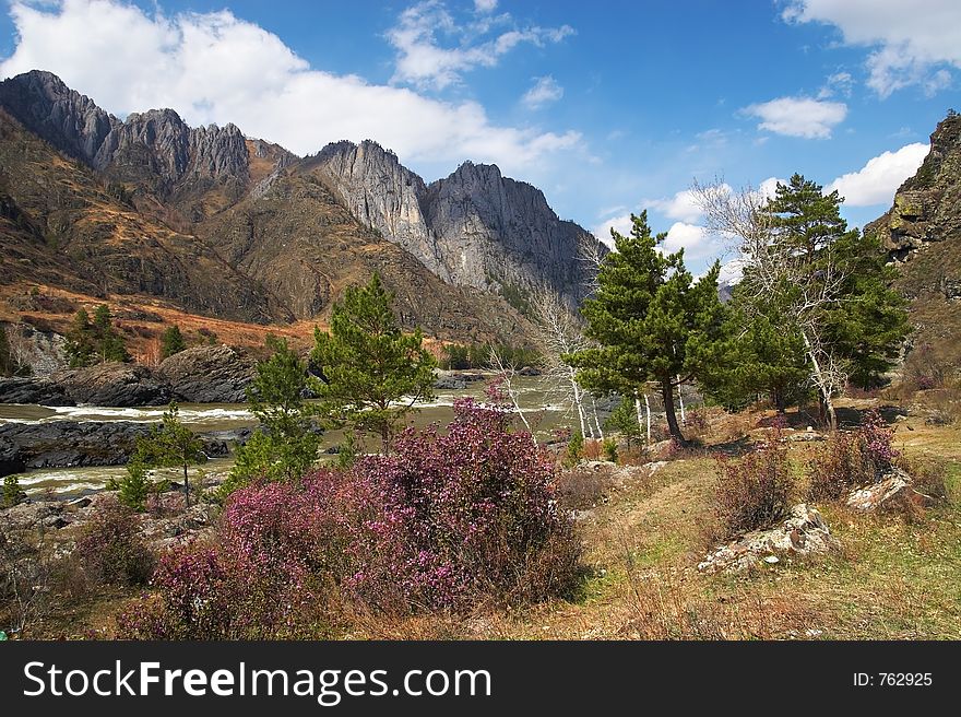 Mountain Landscape Of Altay.