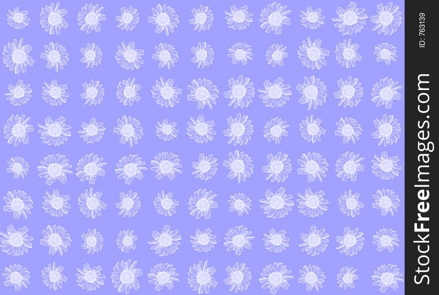 Daisy background in cool blue and white, idea for winter. Daisy background in cool blue and white, idea for winter.