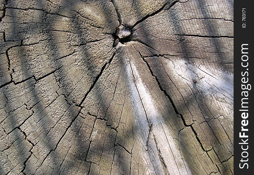 Wood texture.